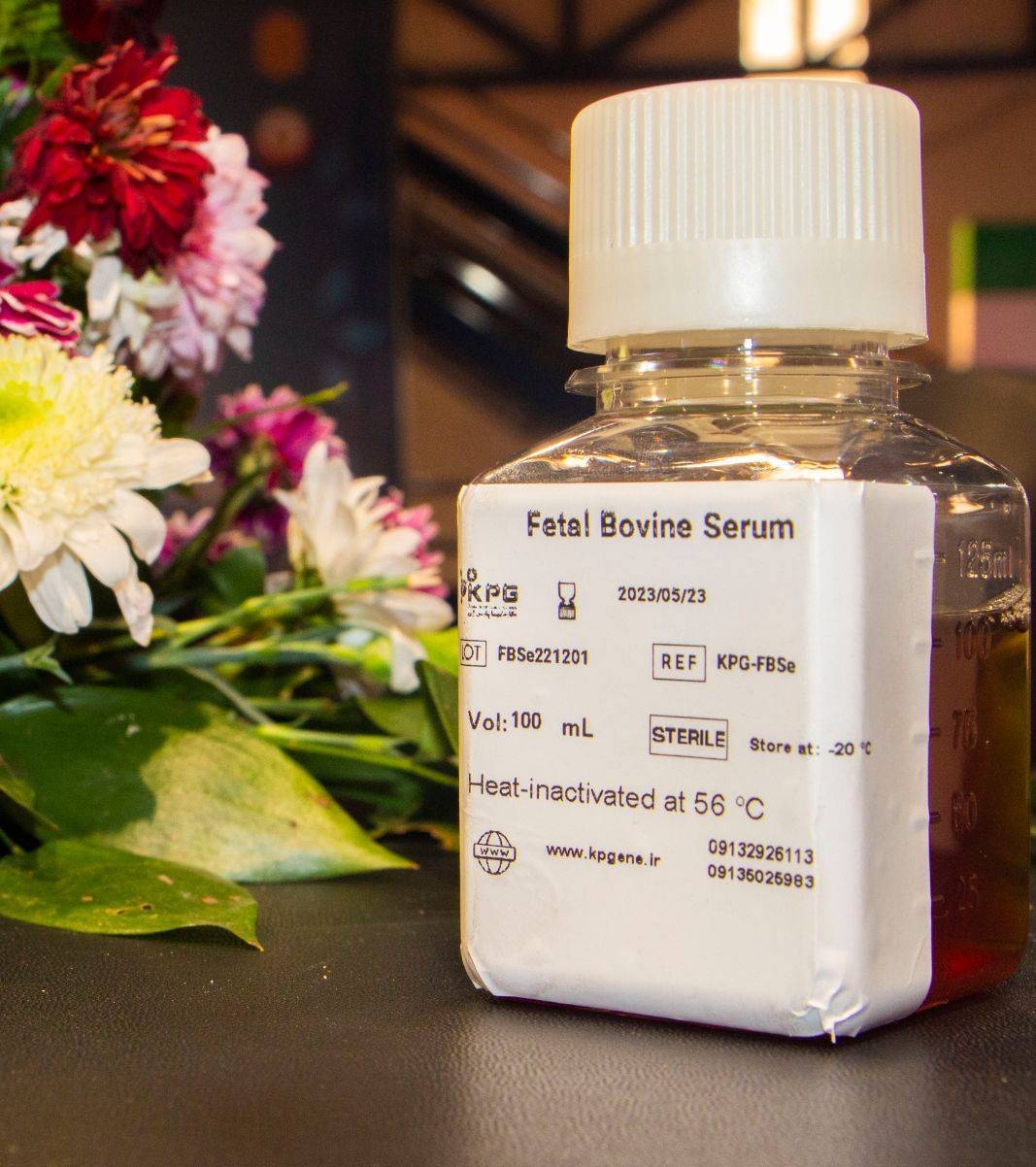 FBS (Fetal Bovine Serum)